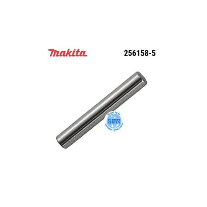 Riddhi Sen Height, Weight, Net Worth, Age, Birthday, Wikipedia, Who, Nationality, Biography