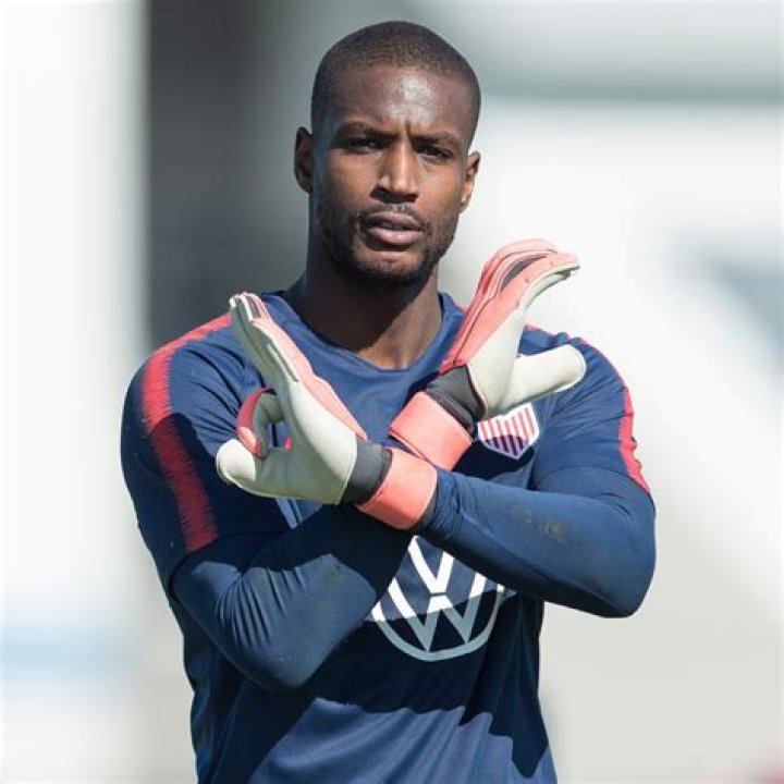 Bill Hamid Bio (Wiki) 