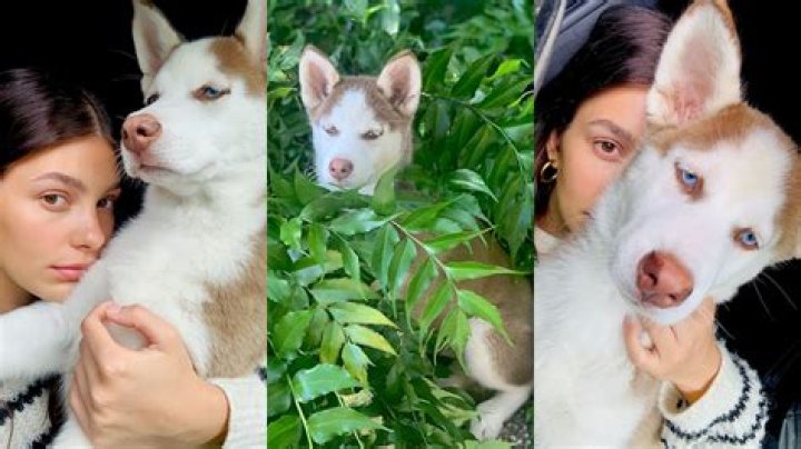 Camila Morrone is fostering two beautiful puppies during the quarantine