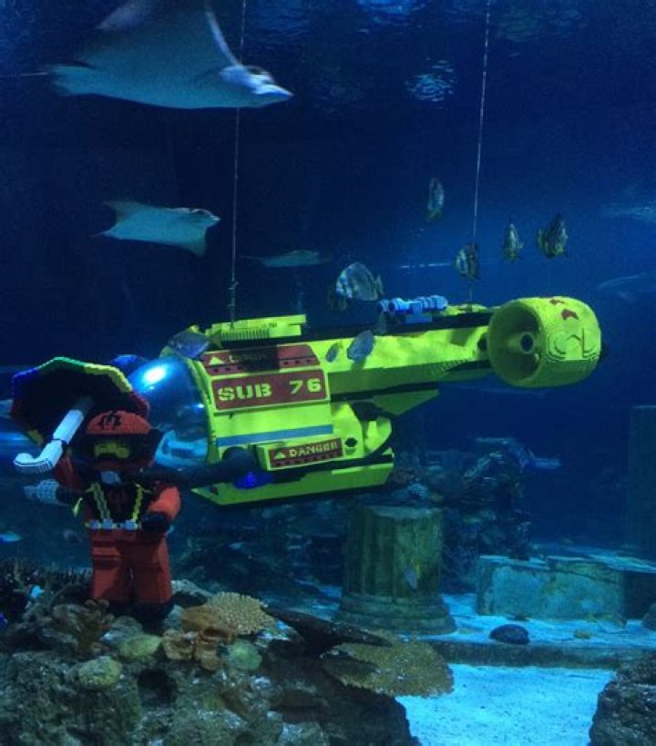 Can you put Legos in a fish tank?