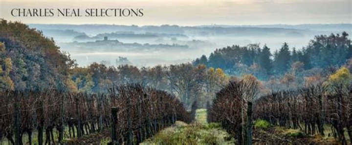 Link Neal - Age, Family, Bio