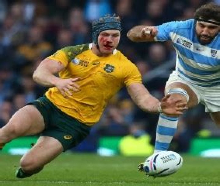 
David Pocock Height, Weight, Net Worth, Age, Birthday, Wikipedia, Who, Nationality, Biography 