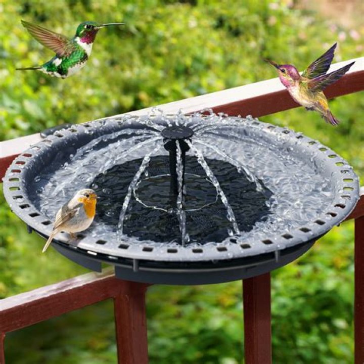 Do water fountains attract birds?