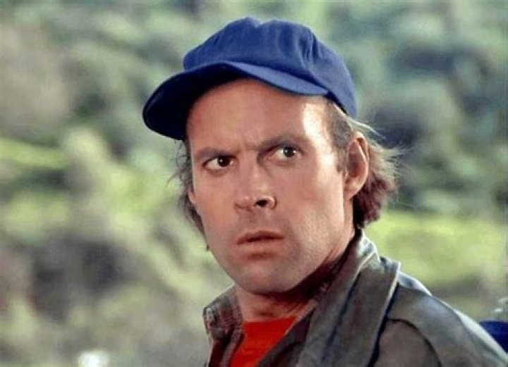 Dwight Schultz - Age, Family, Bio