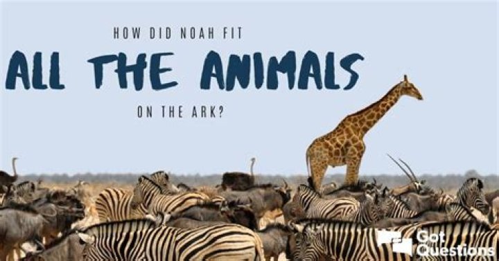 How did Noah fit all the animals on the Ark?