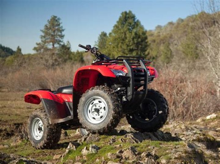 How much horsepower does a Honda Fourtrax 300 have?