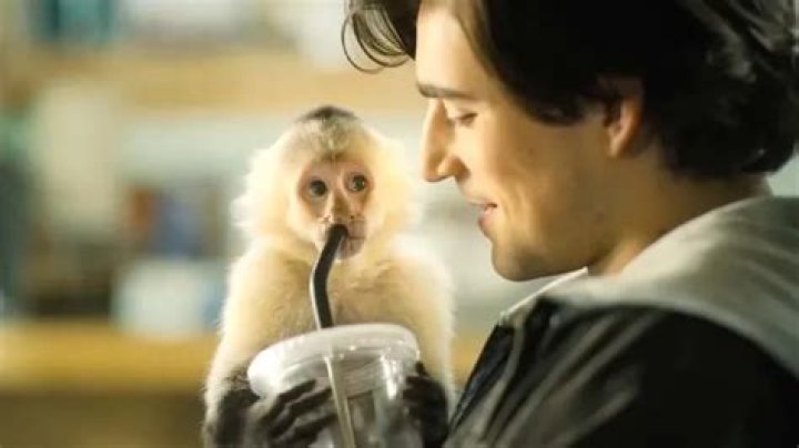 Josephine Langford Pets - Celebrity Pets