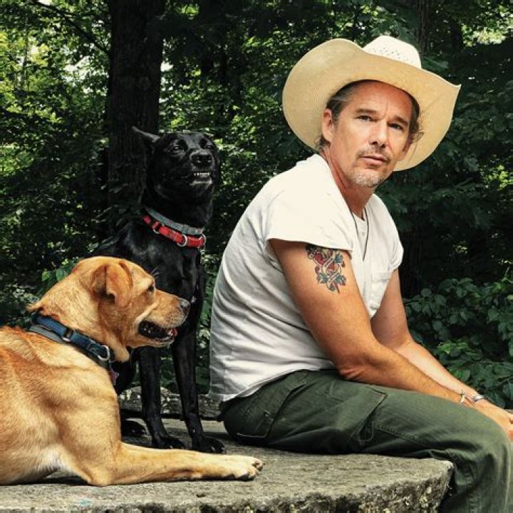 Julie Pitt Neal Height, Weight, Net Worth, Age, Birthday, Wikipedia, Who, Instagram, Biography