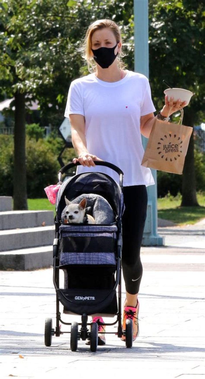 Kaley Cuoco has a stroller for her senior dog, Dump Truck aka Dumpy