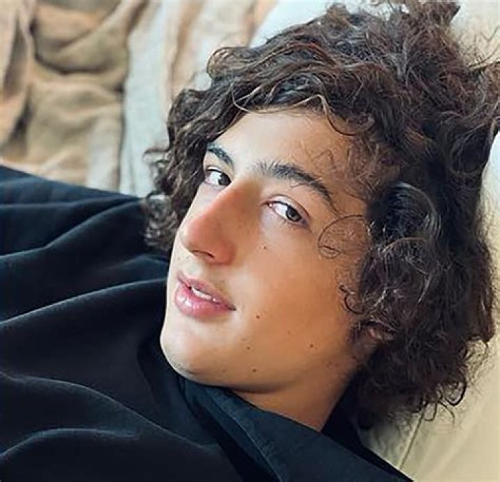 Levi Hank Gilbert-Adler Is The Son Of Lesbian Couple Sara Gilbert and Allison Adler