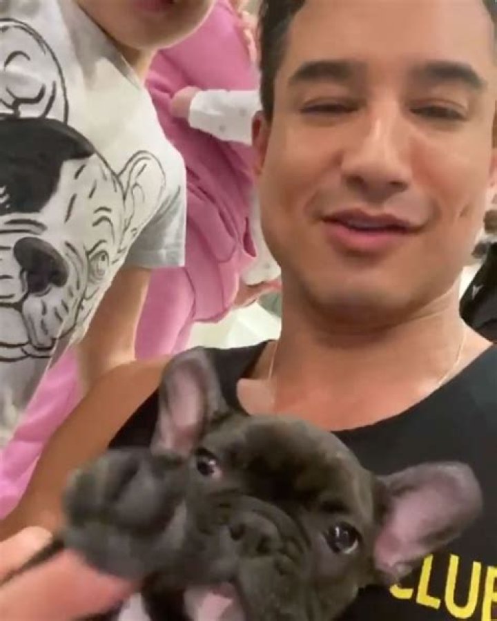 Mario Lopez Pets - Celebrity Pets