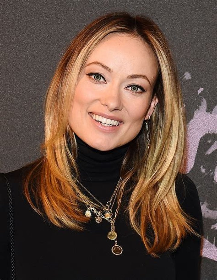 Olivia Wilde wants to be the next Megan Fox so badly