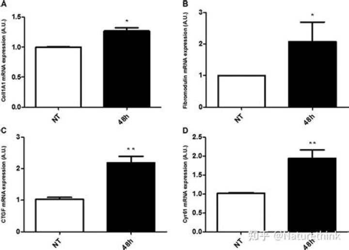 'RHOC' Season 16 Cast Revealed?!