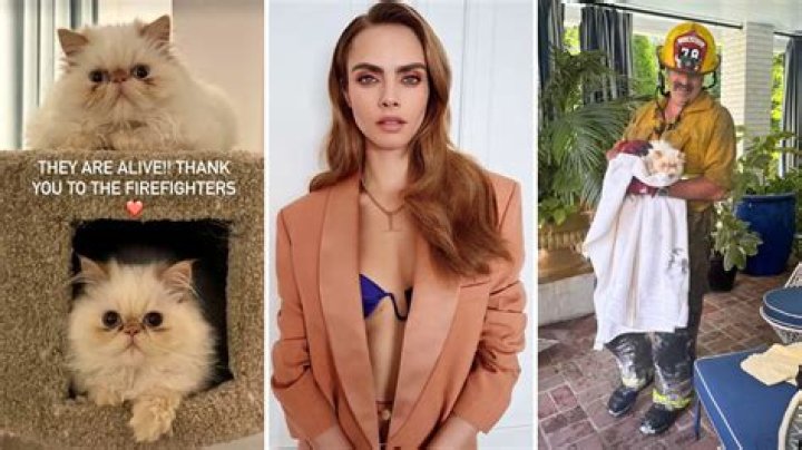 Supermodel Cara Delevingne’s Cats Saved From Devastating Mansion Fire That She Thought Had Killed Them