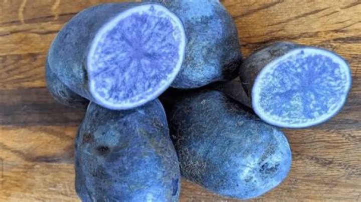 What are royal blue potatoes good for?