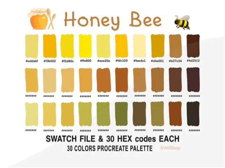 What Colour is a bee?