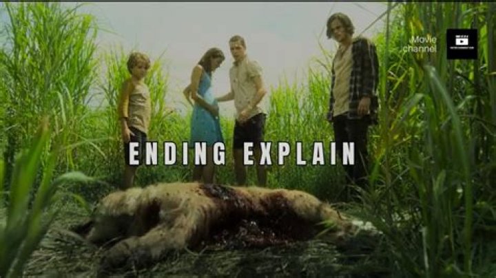 What happens in the end of in the tall grass?