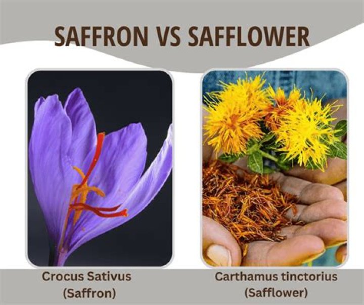 What is the difference between safflower and saffron?