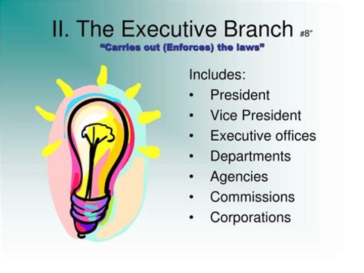 What type of agency carries out laws?