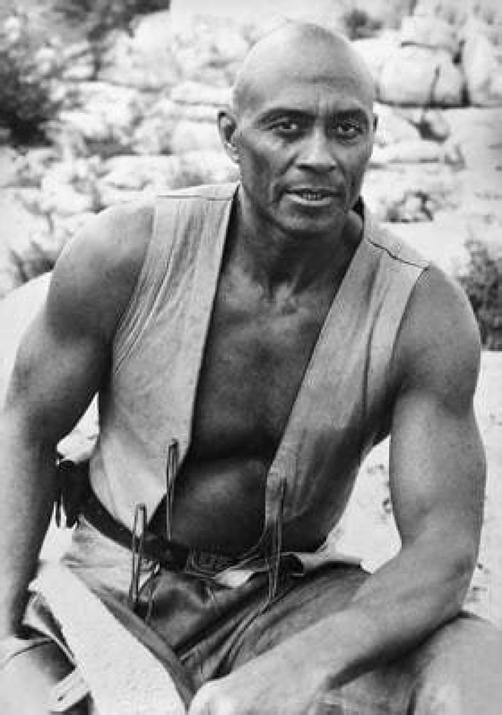 Woody Strode Net Worth At Death
